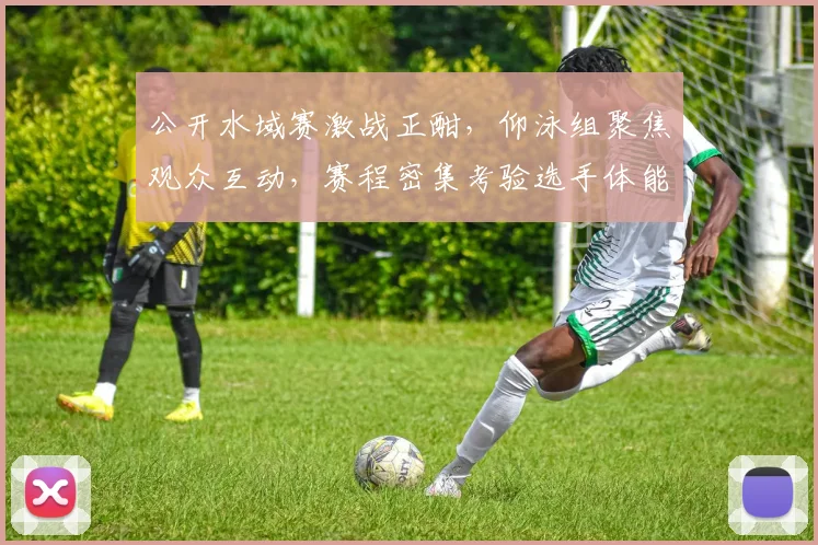 公开水域赛激战正酣，仰泳组聚焦观众互动，赛程密集考验选手体能
