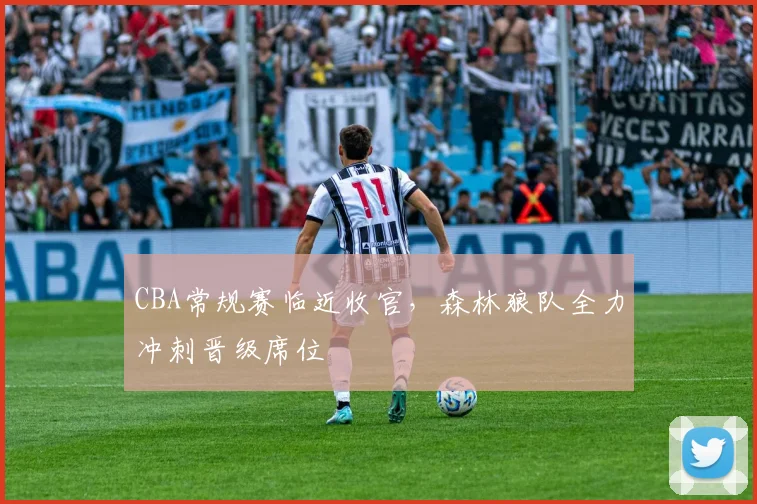 CBA常规赛临近收官，森林狼队全力冲刺晋级席位