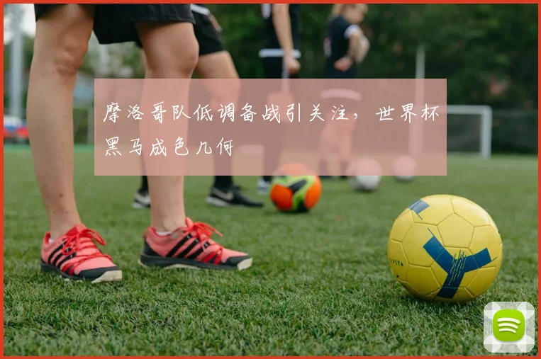 摩洛哥队低调备战引关注，世界杯黑马成色几何
