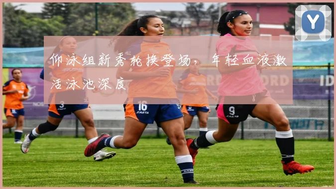 仰泳组新秀轮换登场，年轻血液激活泳池深度